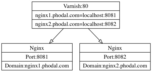 Varnish Nginx Multiple Site